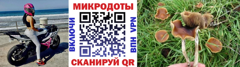 Галлюциногенные грибы Psilocybine cubensis  MEGA зеркало  Омск 
